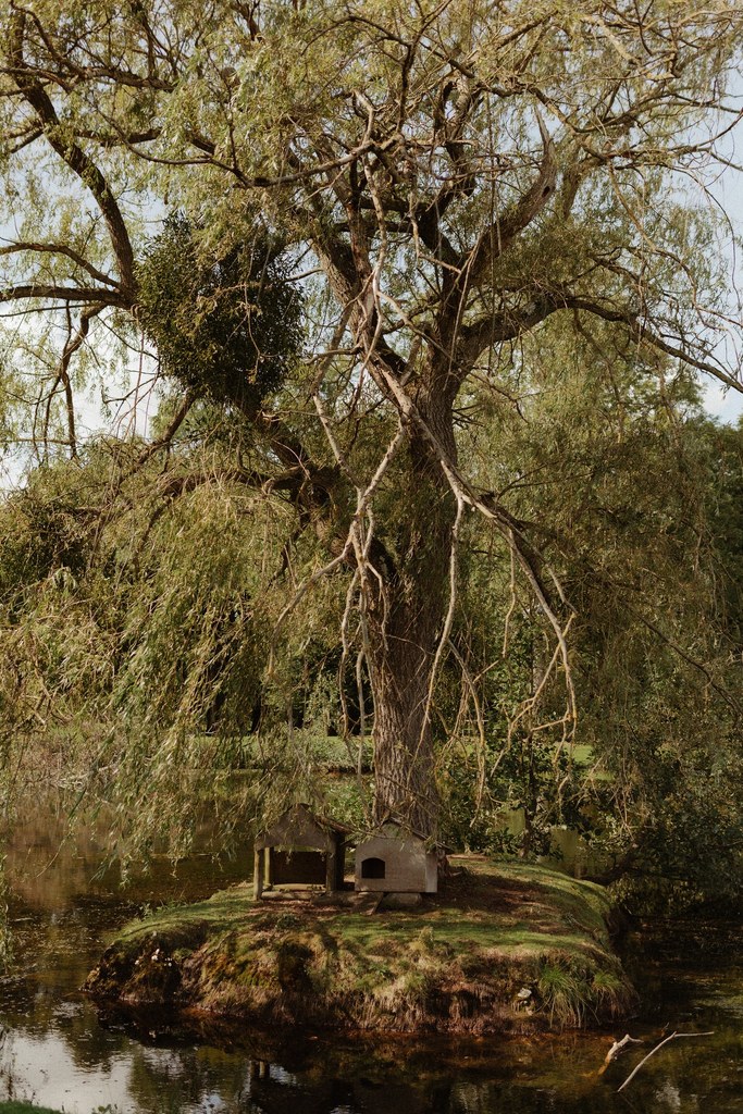 Îlot du parc avec un saule majestueux et une petite cabane en pierre au bord de l'eau