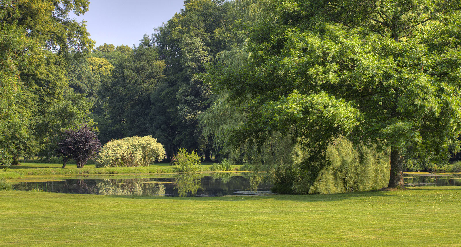 Étang et saule pleureur dans les jardins du Domaine Château du Faucon