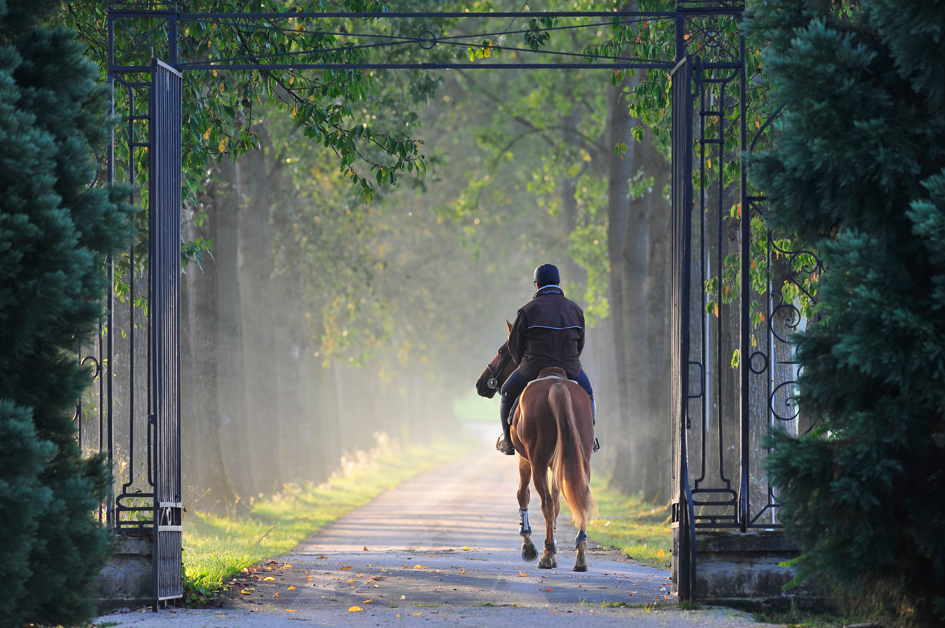 Cavalier franchissant le portail en fer forgé du château au petit matin